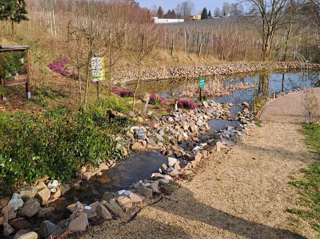 Im linken Teil des Fotos ist ein mit Steinen eingefasster Wasserlauf der in einen Teich mündet. Im Hintergrund befindet sich eine Obstplantage.