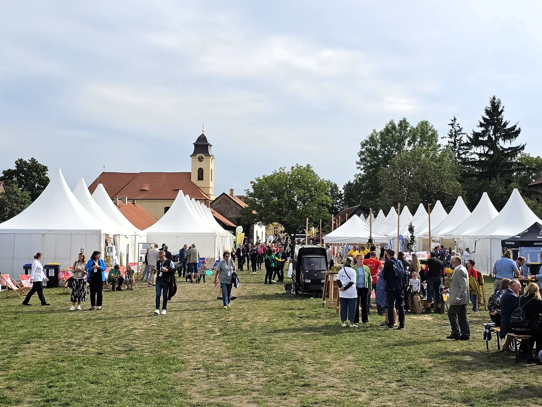 Blick auf die Festwiese auf welcher weiße Zelte mit Spitze in Reihe stehen, die Kirche ist im Hintergrund zu erblicken