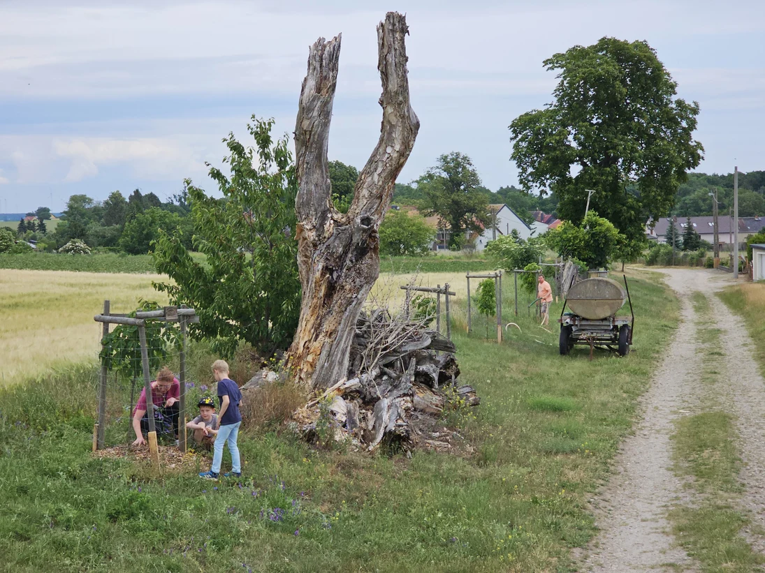 Blick auf den Wirtschaftsweg