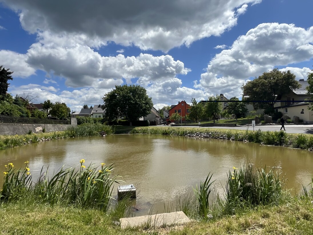 Blick auf den Teich