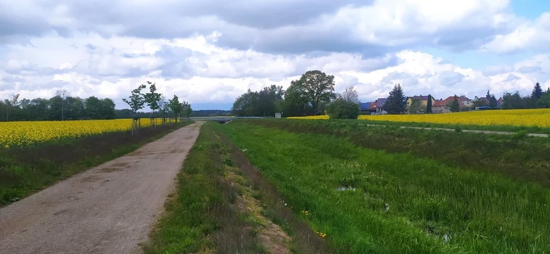 neu errichteter Umfluter mit Begleitweg und Baumreihe