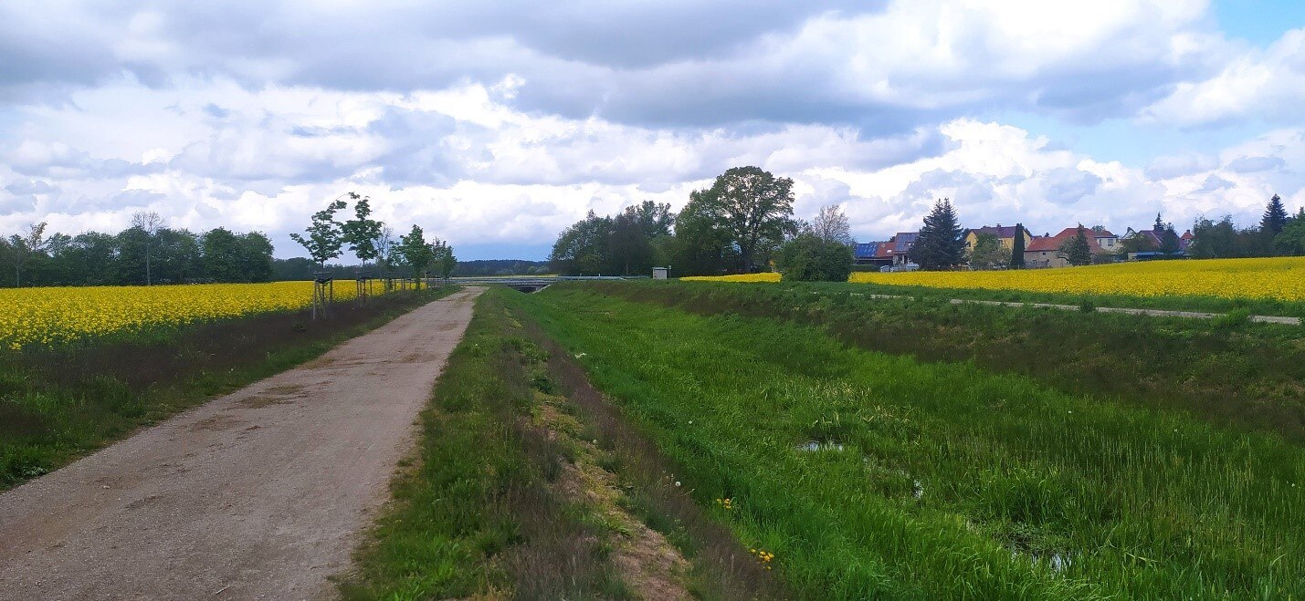 neu errichteter Umfluter mit Begleitweg und Baumreihe