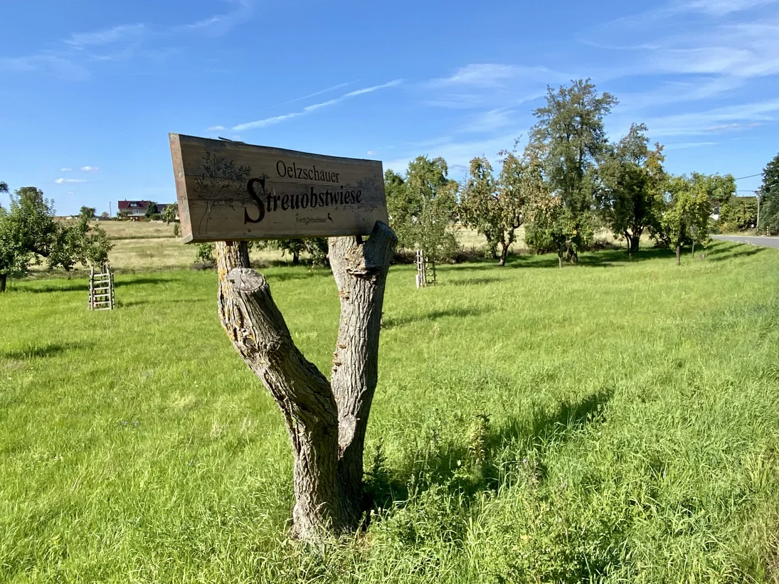 großes Holzschild mit der Aufschrift Oelzschauer Streuobstwiese