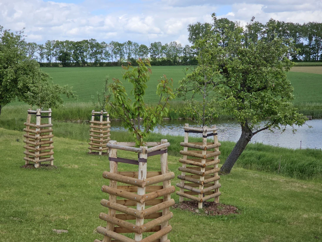 Wiese mit Obstbäumen neben dem Dorfteich