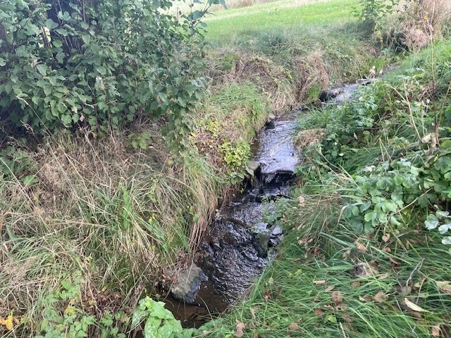 Teilabschnitt des Kleinhartmannsdorfer Baches. Hier wurden durch Steine Stufen eingebaut und der Bach entgradigt.