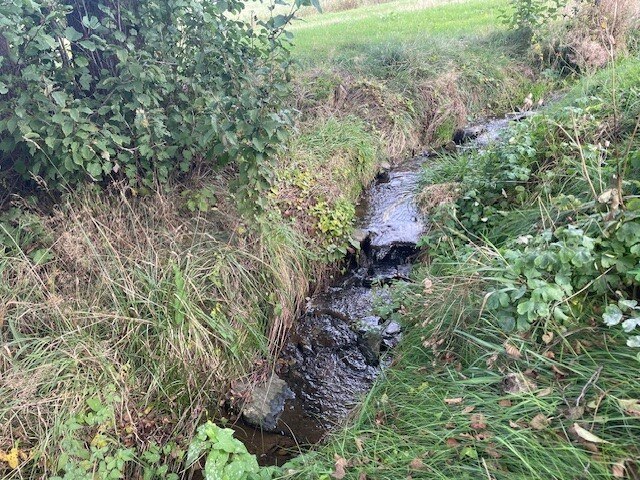 Teilabschnitt des Kleinhartmannsdorfer Baches. Hier wurden durch Steine Stufen eingebaut und der Bach entgradigt.