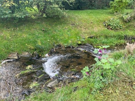 Teilabschnitt am Großwaltersdorfer Bach. Fußsteinreihen am Ufer sorgen dafür, dass hier keine weitere Erosion stattfindet.