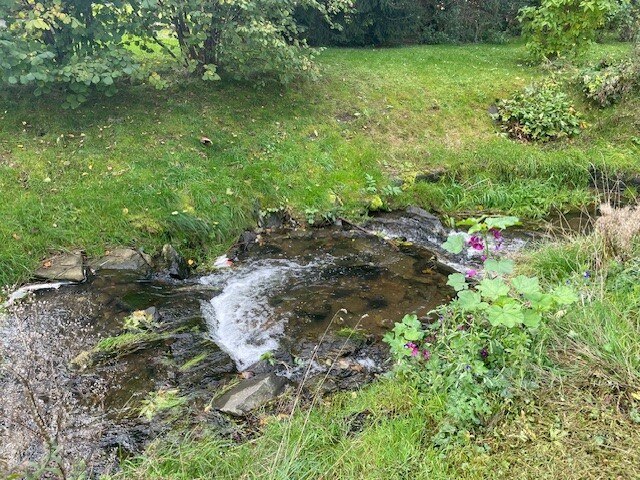 Teilabschnitt am Großwaltersdorfer Bach. Fußsteinreihen am Ufer sorgen dafür, dass hier keine weitere Erosion stattfindet.