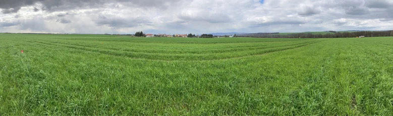 Panorama des Baufeldes südlich der Ortslage Ebenheit
