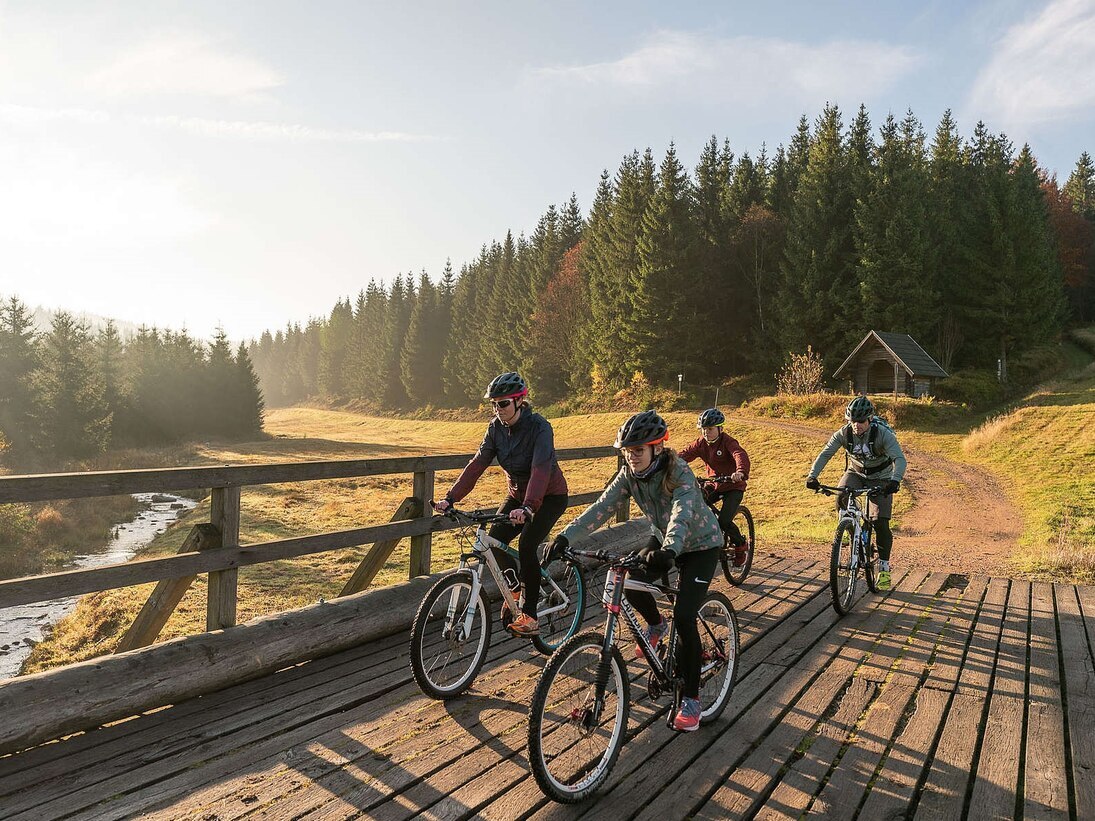 Eine Familie auf Mountainbikes überquert eine Holzbrücke.