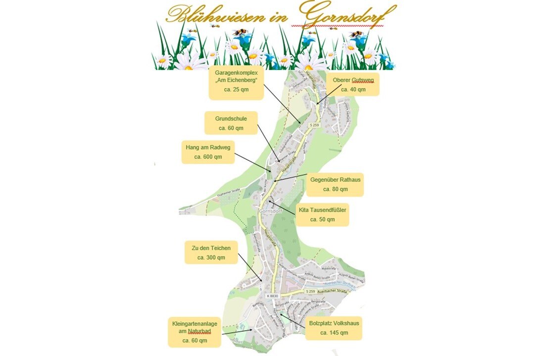 Schriftzug „Blühwiesen in Gornsdorf“, gemalte Wiese mit Grashalmen, Glockenblumen mit Bienen und Margeriten; bildfüllend eine Straßenkarte von Gornsdorf mit neun Hinweisschildern auf Blühwiesen für Insekten im Ort
