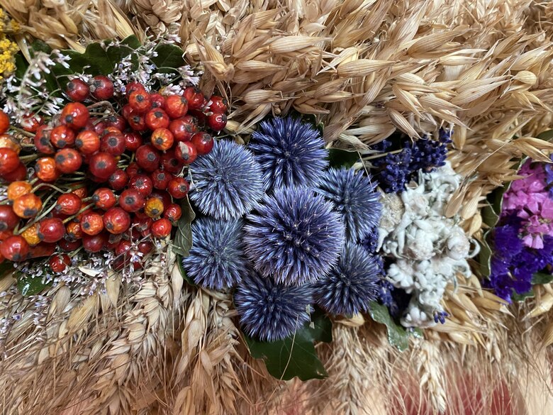 blaue, rote und lila Blumen