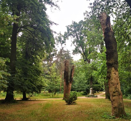 Biick in den Stadtpark Riesa