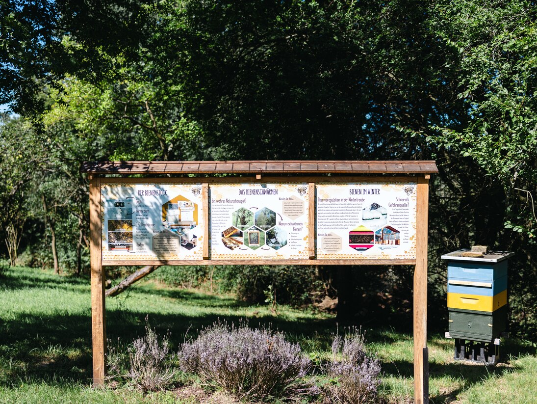 Eine neue Informationstafel zu Bienen steht im Grünen. Daneben eine bunte Holzkiste für ein Bienenvolk.