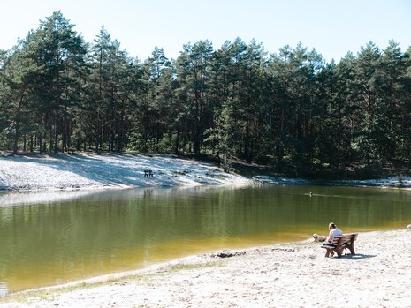 Eine Frau sitzt mit ihrem Hund am sandigen Teichufer auf einer Bank in der Sonne. Eine Person schwimmt im Wasser. Im Hintergrund das andere Ufer mit einer Bank und Wald.