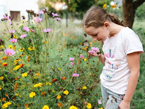 Ein Mädchen im Schulgarten beugt sich zu einer Blüte, um daran zu riechen.