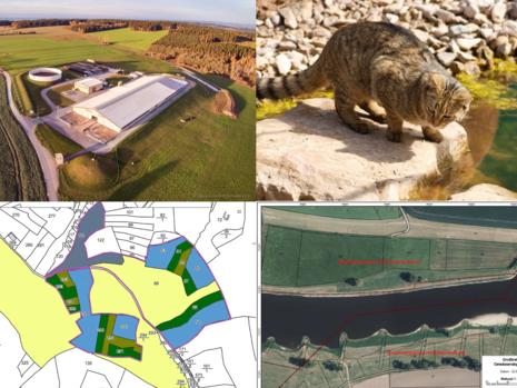 4 Beispielbilder aus den Projekten des Monats - Blick auf Agrarunternehmen, Wildkatze, Kartenausschnitt, Luftbild