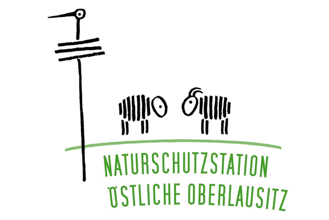 Logo der Naturschutzstation – stilisierter Storchennest und zwei sich gegenüberstehende Schafe, darunter Schriftzug »Naturstation Östliche Oberlaustiz«
