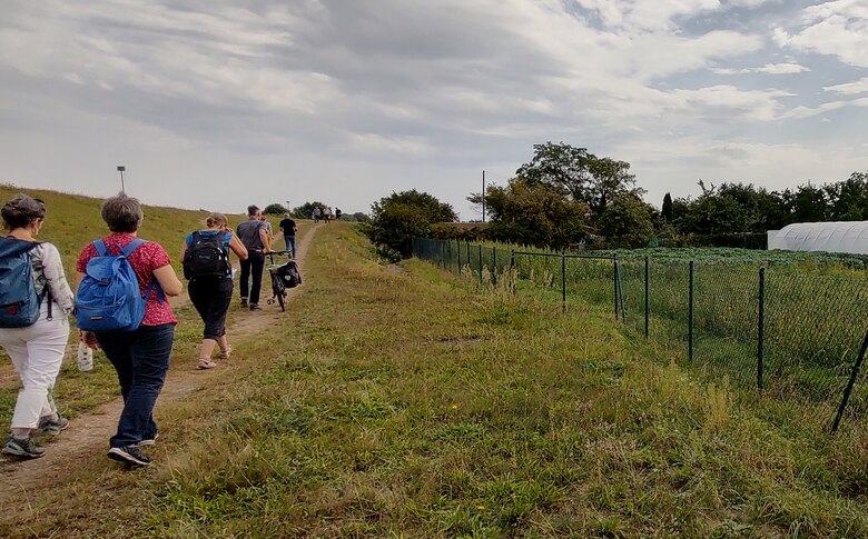 mehrere Personen laufen entlang des Deiches