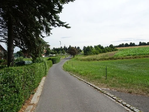 Das Bild zeigt einen schmalen, asphaltierten Weg, der durch eine ländliche Gegend führt. Links stehen Wohnhäuser hinter einer Hecke, rechts erstrecken sich Felder und Wiesen.