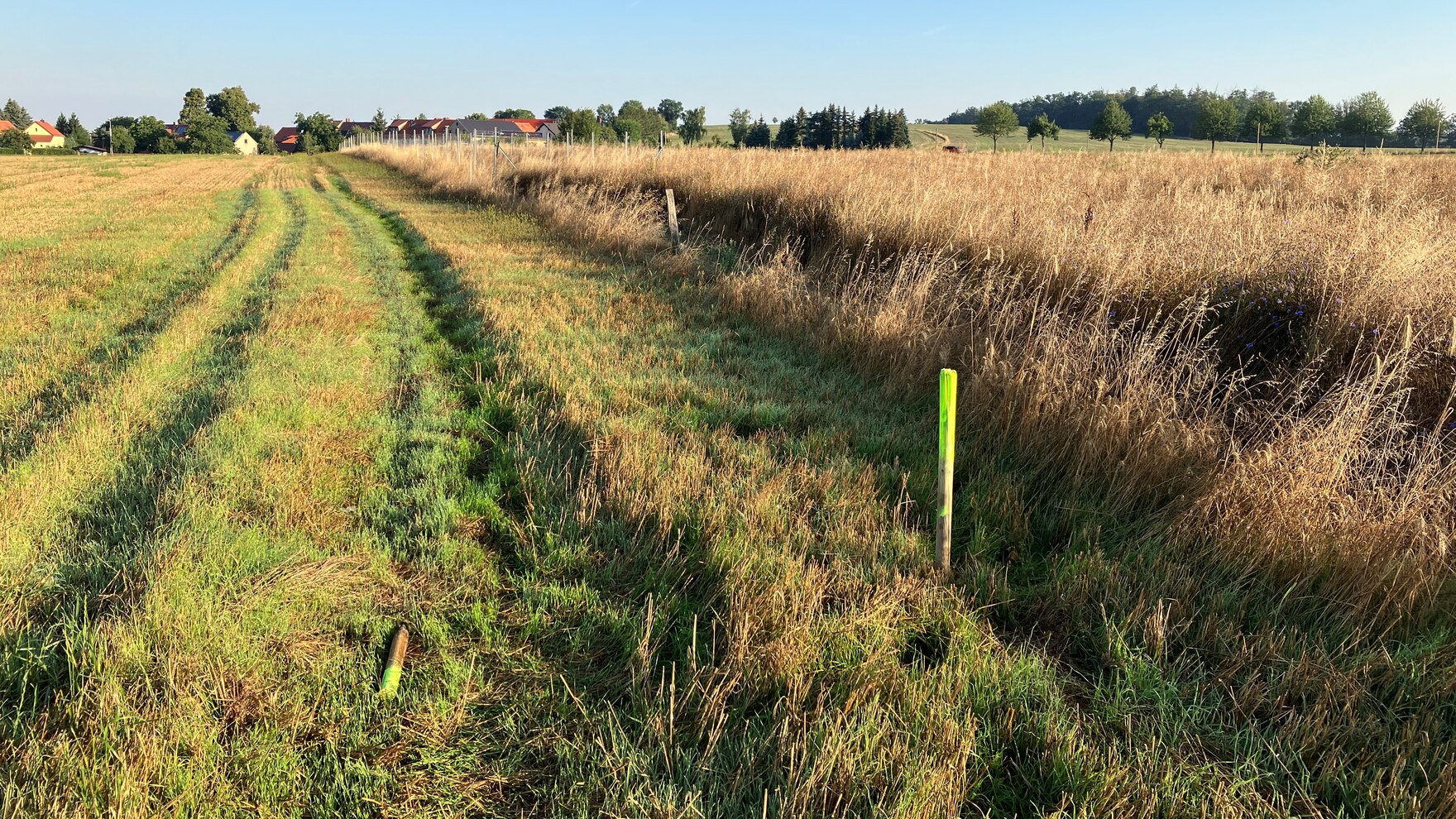 Blick über das Feld mit einer Grenzmarkierung