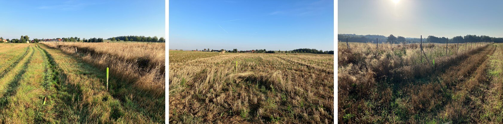 Markierung der neuen Grenze im Feld (Bild links und Mitte); Bild rechts: Einhaltung des Grenzabstandes nach Versetzen des Pflanzenschutzzaunes