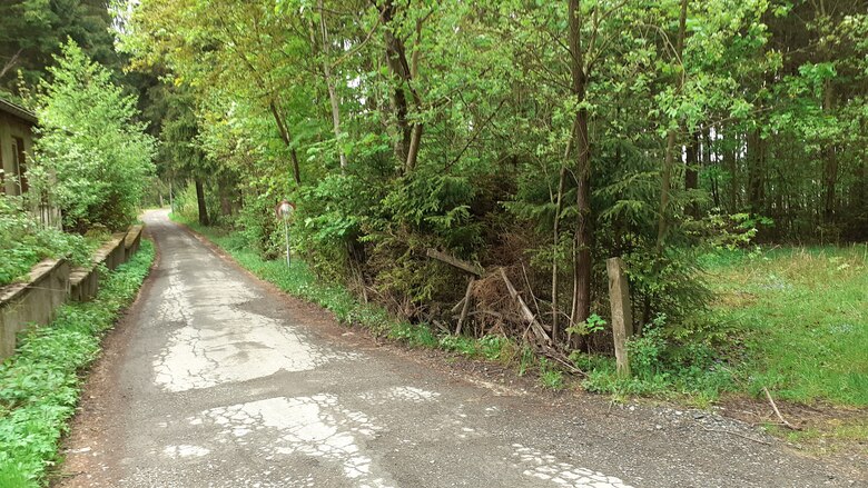 Dokumentationsaufnahmen der ursprünglichen Wegtrasse links im Bild als schmale Asphaltstraße mit beschädigter, standsicherheitsgefährdeter Stützmauer und rechts an Straße angrenzender Wiesenfläche mit Buschwerk mit nicht dokumentierter privater Kläranlage