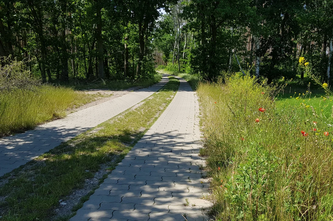 Beispiel eines neu gebauten Spurwegs mit Ausweichstellen im Verfahrensgebiet