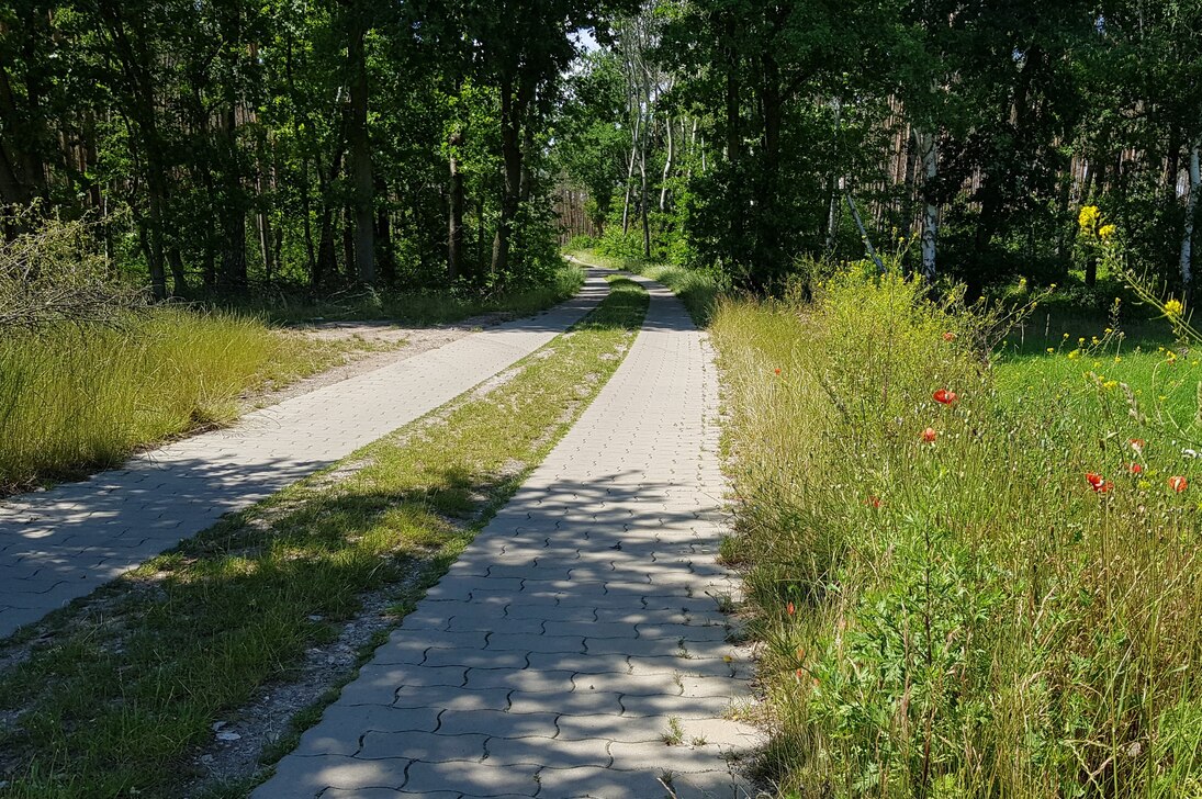 Beispiel eines neu gebauten Spurwegs mit Ausweichstellen im Verfahrensgebiet