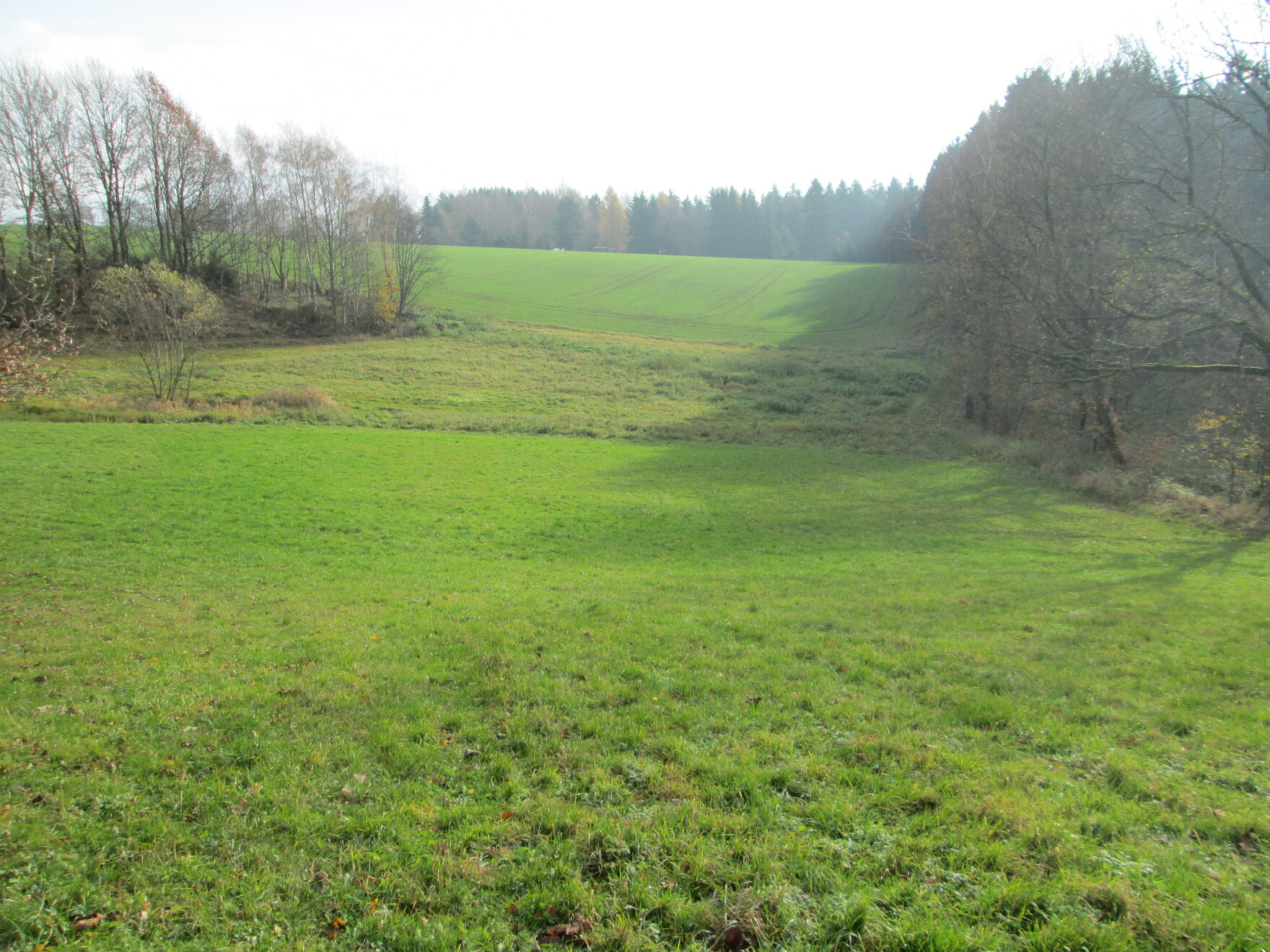 Blick auf die vorgesehene Pflanzfläche in Richtung Südost