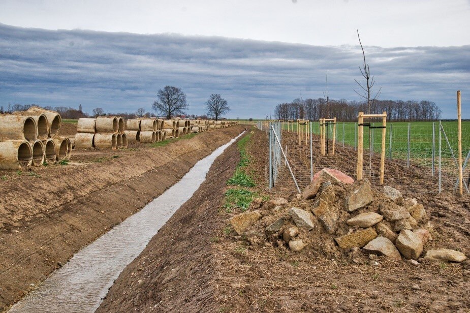 Blick auf die neu angelegte Rietzschke mit Bepflanzung des südlichen Gewässerrandstreifens