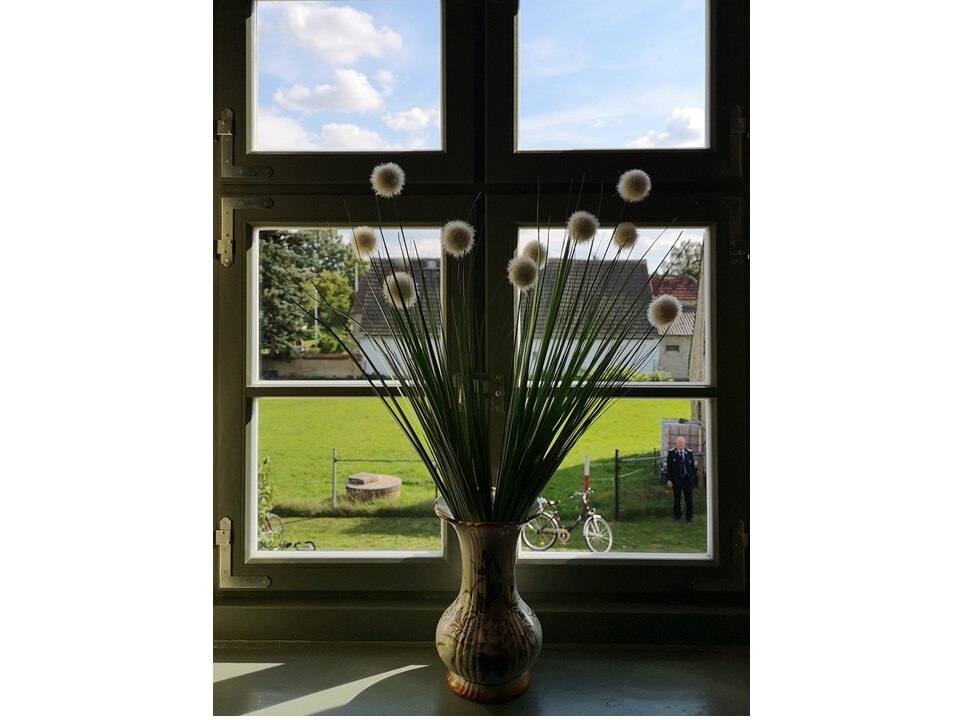 Blick über einen Trockenstrauß durch das Fenster auf den grünen Innenhof
