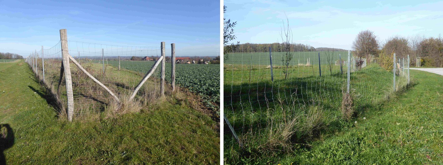 Bild links: Nördlicher Teil der Graben-Wallhecke mit Retensionsfläche; Bild rechts: Mittlerer Teil der Graben-Wallhecke (Richtung Norden)