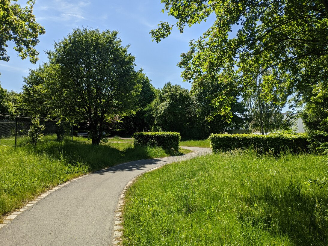 Blick auf einen Weg, umsäumt von Hecken und Bäumen, weiße Sitzbänke im Hintergrund