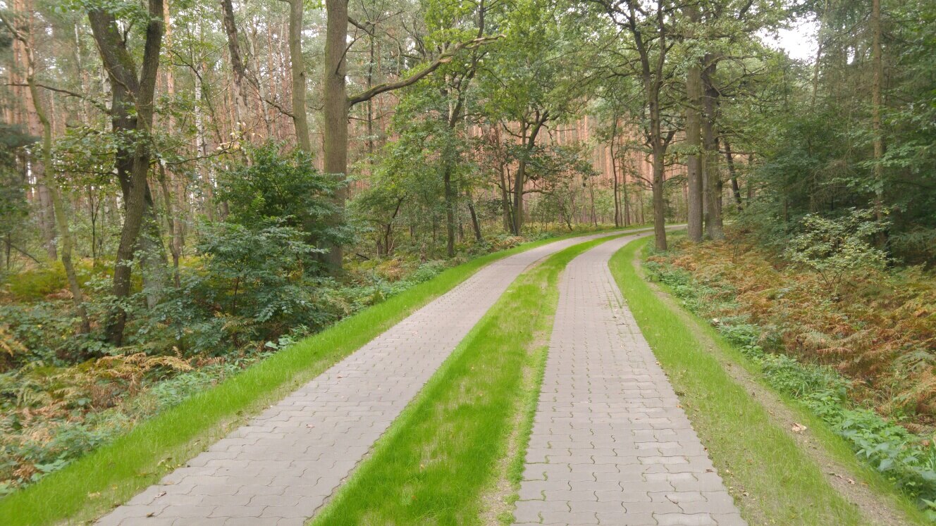 Neu ausgebauter Wirtschaftsweg 