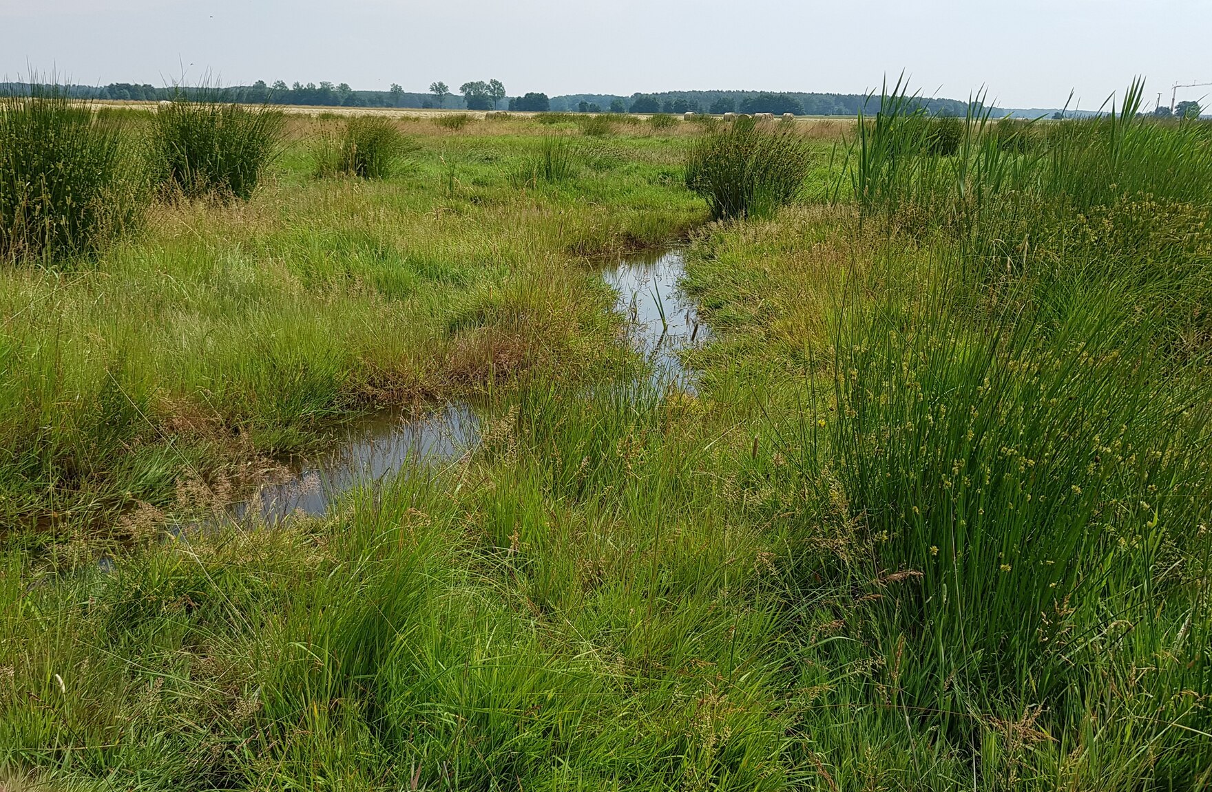 Naturnah gestalteter Bachlauf im Verfahrensgebiet